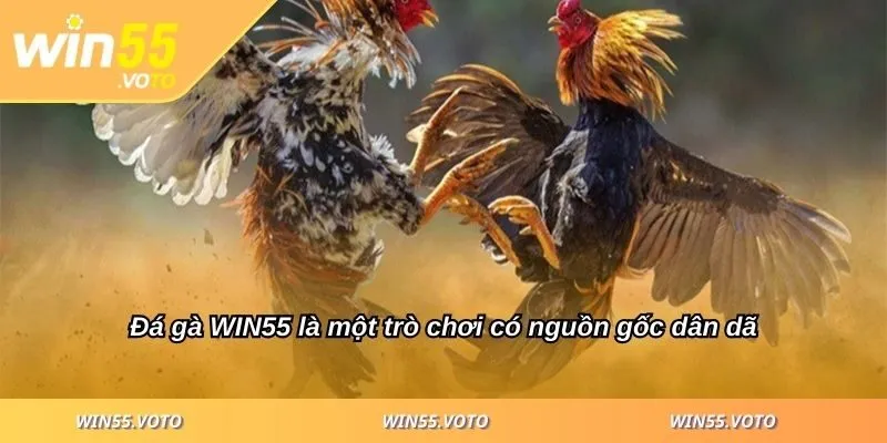 Đá Gà WIN55 - Cách Chiến Thắng Cho Người Mới Bắt Đầu 1 Đá gà WIN55 là một trò chơi có nguồn gốc dân dã