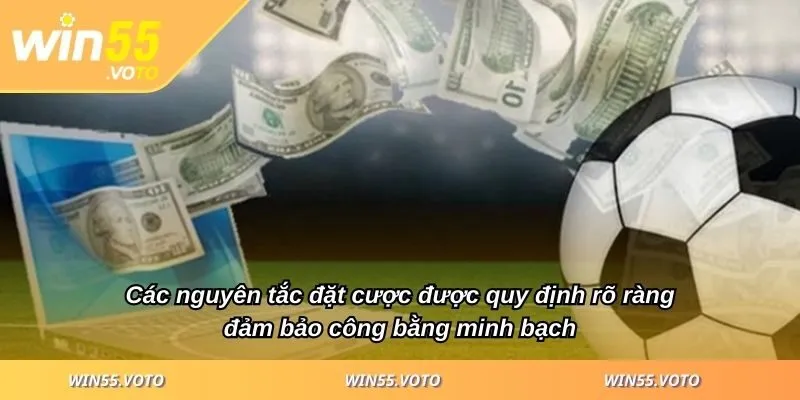 Luật Cá Độ Bóng Đá - Giải Thích Chi Tiết Cho Người Mới 3 Các nguyên tắc đặt cược được quy định rõ ràng đảm bảo công bằng minh bạch