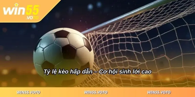 Thể Thao WIN55 - Sảnh Chơi Quy Tụ Các Tựa Game Nổi Tiếng 3 Tỷ lệ kèo hấp dẫn – Cơ hội sinh lời cao